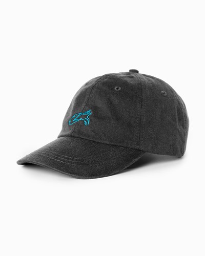 Alphalete Adjustable Cap Negras | AMUONB298