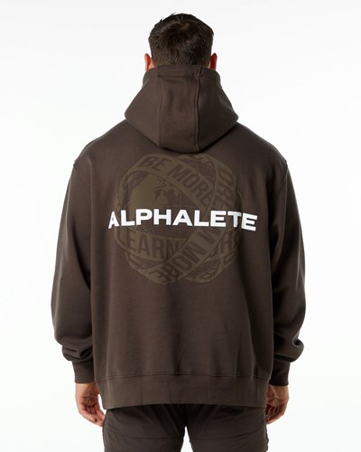 Alphalete Brushed Fleece Estampadas Hoodie Marrones | YCSOTX087