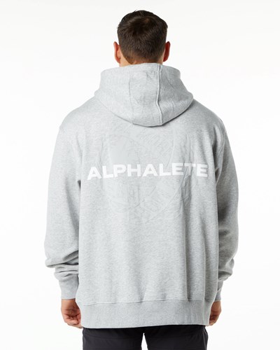 Alphalete Brushed Fleece Estampadas Hoodie Gris | ZPCQUF265