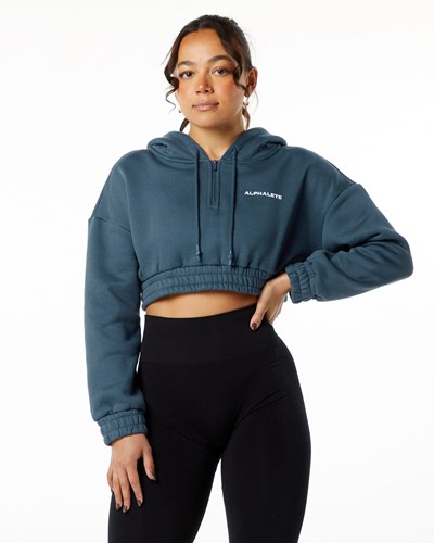 Alphalete Brushed Fleece Half-Zip Crop Hoodie Azules | SBMXCG610