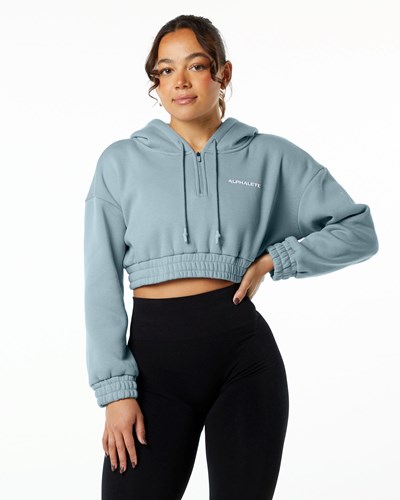 Alphalete Brushed Fleece Half-Zip Crop Hoodie Azules | XVPZJF738