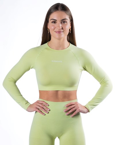Alphalete Cropped Seamless Long Sleeve Frozen Spring | YVJKRF740
