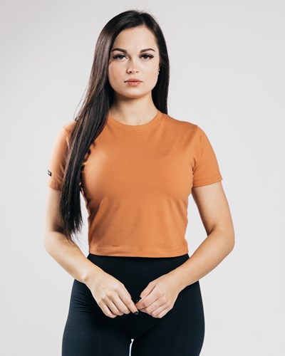 Alphalete Fitted Performance Crop Top Clay | KMXSTU051
