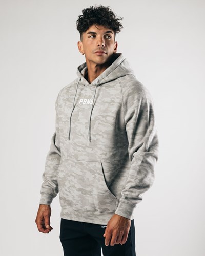 Alphalete Fitted Performance Hoodie Plateadas | HKFYIS097