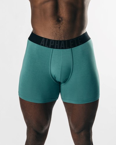 Alphalete Frictionless Modal Boxer Brief Ivy | ZNTOMV809