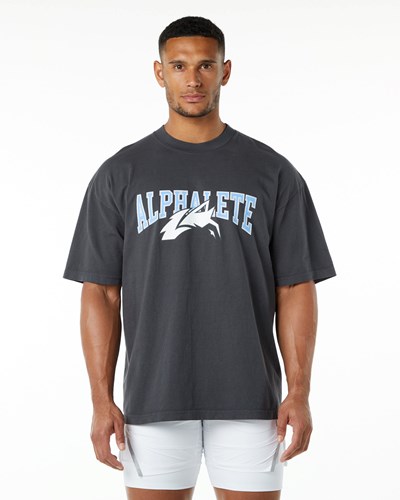 Alphalete Heavyweight Oversized Tee Azules | DSIYTW910