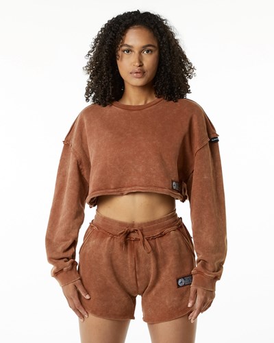 Alphalete Heavyweight Washed Terry Crop Pullover Bloodstone | ZCPWVF823