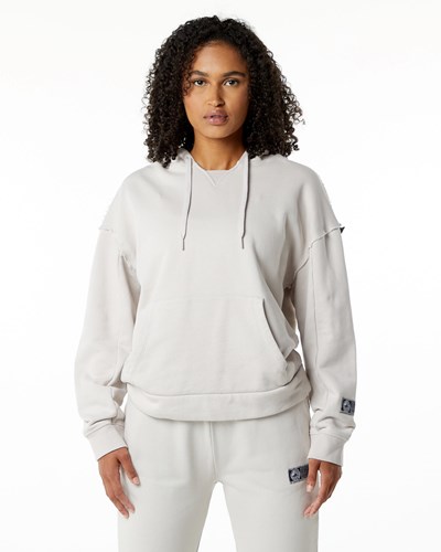 Alphalete Heavyweight Washed Terry Hoodie Moonstone | ZPVCNF157