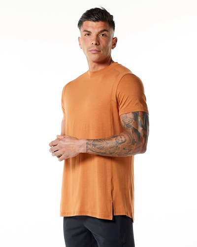 Alphalete High-Neck Premium Corta Sleeve Tee Camel | OLJKRT841