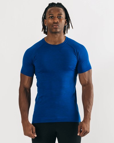 Alphalete High Performance Seamless Corta Sleeve Tee Azules | GIFCDX876