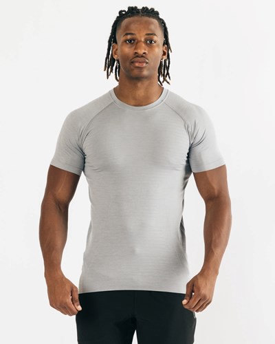 Alphalete High Performance Seamless Corta Sleeve Tee Gris | NUIMLD146