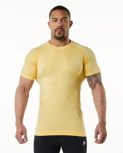 Alphalete High Performance Seamless Corta Sleeve Tee Faded Honey | TDQIGJ108