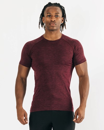 Alphalete High Performance Seamless Corta Sleeve Tee Negras | XKEGFD290