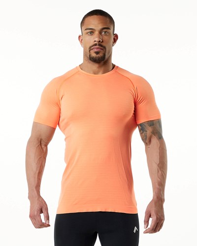 Alphalete High Performance Seamless Corta Sleeve Tee Faded Day Tripper | XOBKQT250