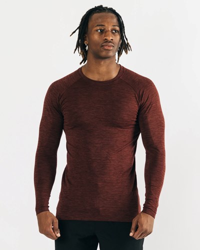Alphalete High Performance Seamless Long Sleeve Tee Cobra | EMGFJY204