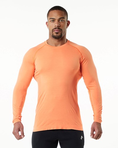 Alphalete High Performance Seamless Long Sleeve Tee Faded Day Tripper | MUVKWS503