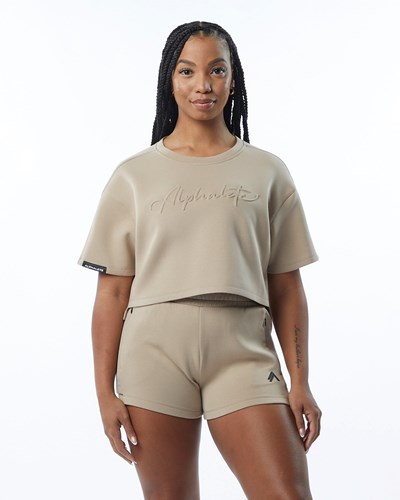Alphalete Interlock Knit Crop Pullover Tan | OSCPRE210