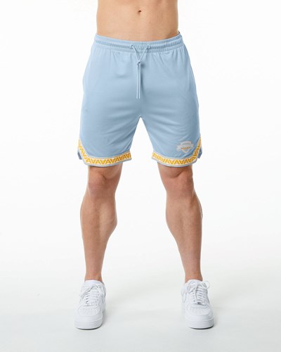 Alphalete Jersey Knit Corta Azules Claro | SXTENV574