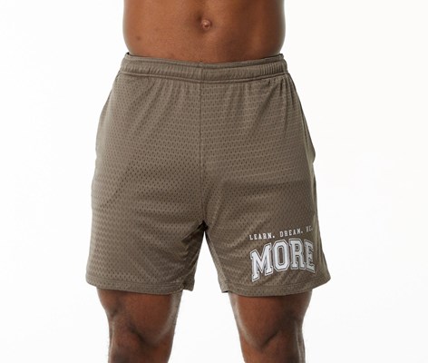 Alphalete Luxury Forro 4-Way Stretch Mesh Corta Mocha | MSWQCN832