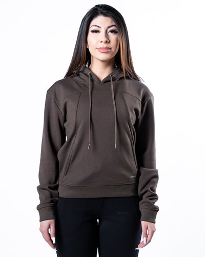 Alphalete Luxury Velvet Forro Hoodie Marrones Oscuro | GCSBUF083