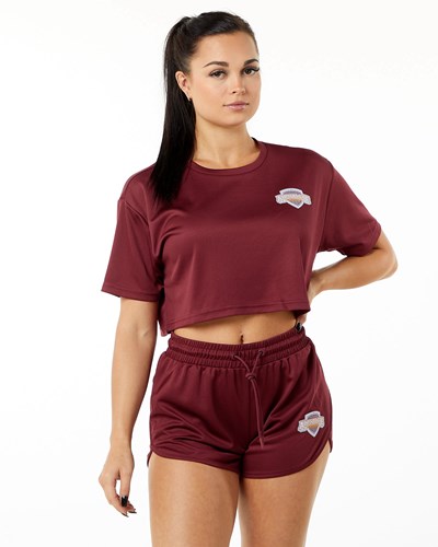 Alphalete Oversized Crop Jersey Crimson | LZGWYP963