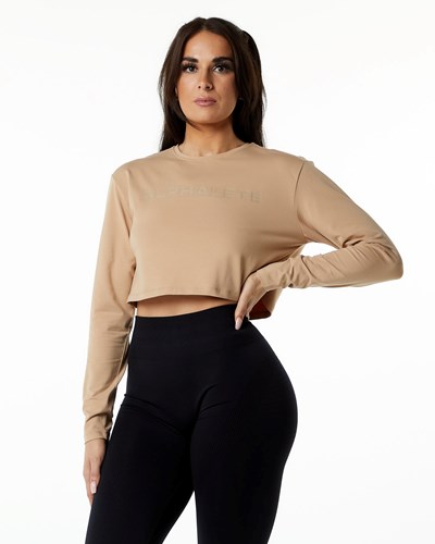 Alphalete Oversized Performance Long Sleeve Crop Taupe | BIYROG608