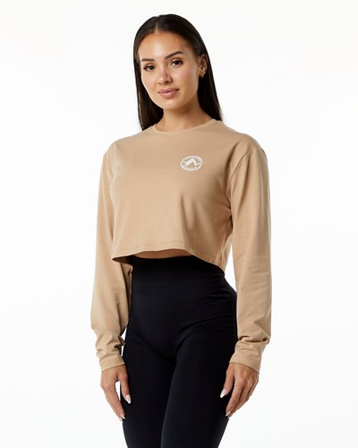 Alphalete Oversized Performance Long Sleeve Crop Taupe | EUDPJC357