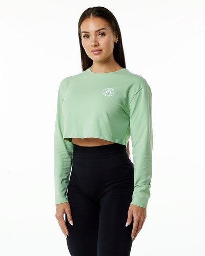 Alphalete Oversized Performance Long Sleeve Crop Pistachio | IZKNRU298