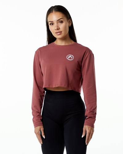 Alphalete Oversized Performance Long Sleeve Crop Gingerbread | LWKFJO936