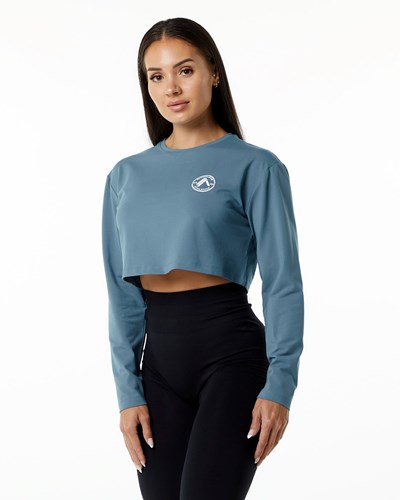 Alphalete Oversized Performance Long Sleeve Crop Azules | ZKVQTR658