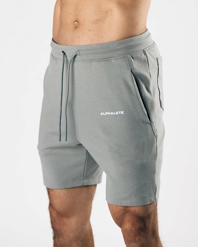 Alphalete Relaxed All-Purpose 8" Algodon Corta Gris | QDAPTK403
