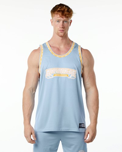 Alphalete Relaxed Fit Jersey Azules Claro | PQYJRV793