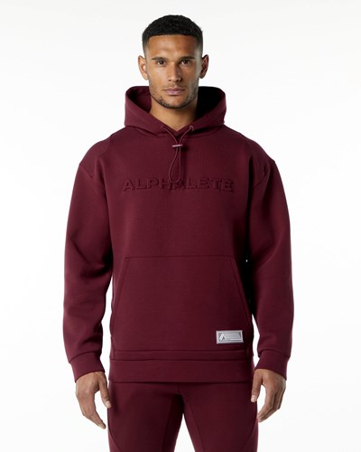Alphalete Relaxed Interlock Knit Hoodie Burdeos | NAOFXQ681