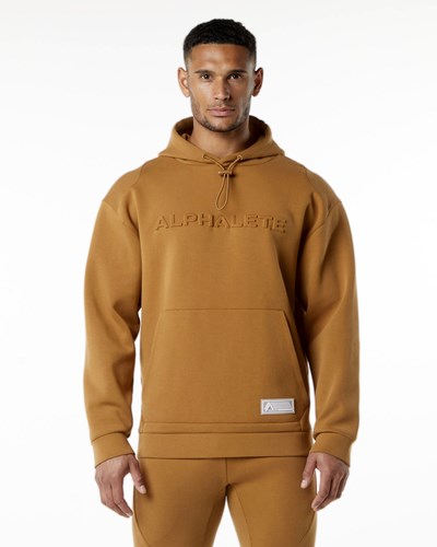Alphalete Relaxed Interlock Knit Hoodie Almond | NITXBG874
