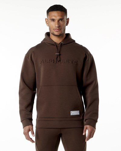 Alphalete Relaxed Interlock Knit Hoodie Marrones | PQUBKL813