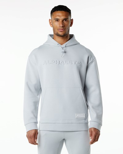 Alphalete Relaxed Interlock Knit Hoodie Gris | ZSHQTW935