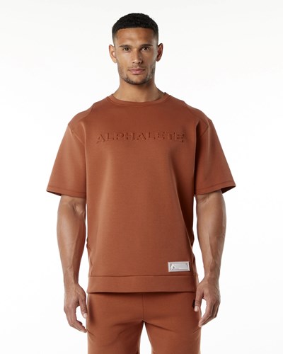Alphalete Relaxed Interlock Knit Pullover Brick | JBWGTI567