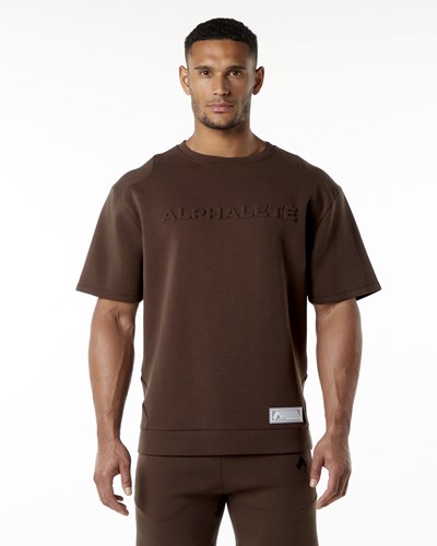 Alphalete Relaxed Interlock Knit Pullover Marrones | MBOICQ213