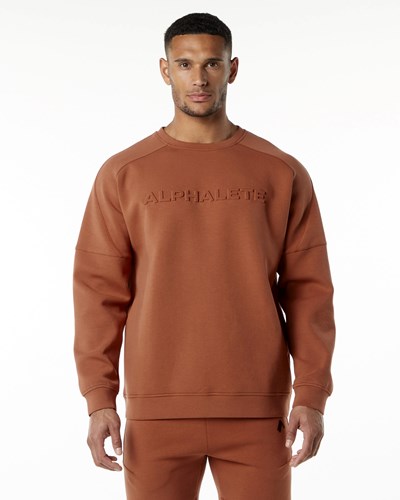 Alphalete Relaxed Interlock Knit Pullover Brick | OVYBJP764