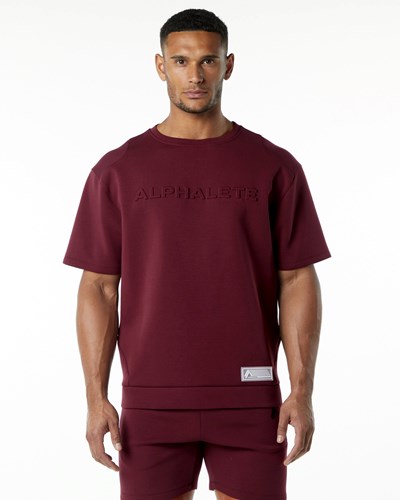 Alphalete Relaxed Interlock Knit Pullover Burdeos | OYFTIE310