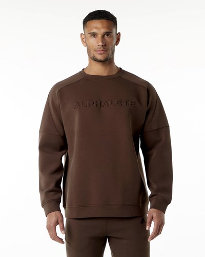 Alphalete Relaxed Interlock Knit Pullover Marrones | PQUJAH279
