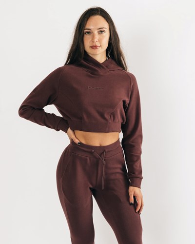 Alphalete Relaxed Single-Brushed Pullover Hoodie Mahogany | OPIRAH386
