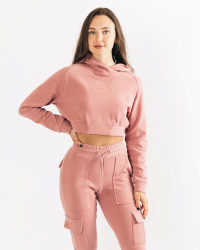 Alphalete Relaxed Single-Brushed Pullover Hoodie Cranberry Ice | RAUGQJ078