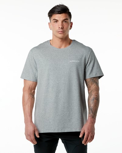 Alphalete Set-In Sleeve Tee Gris | JFLDAN126