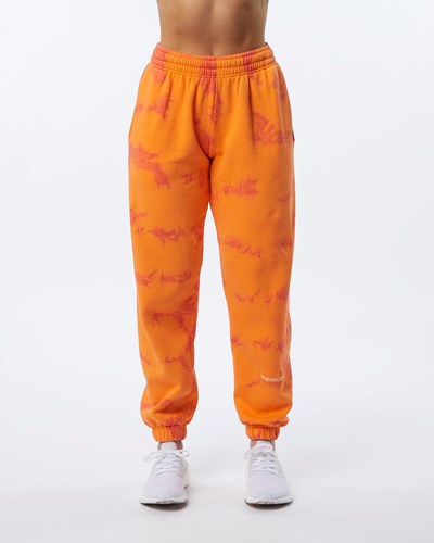 Alphalete Washed 30" Fleece Jogger Day Tripper | AYLGDW598