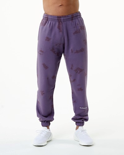 Alphalete Washed 31" Fleece Jogger Revolution | EXJCFM893