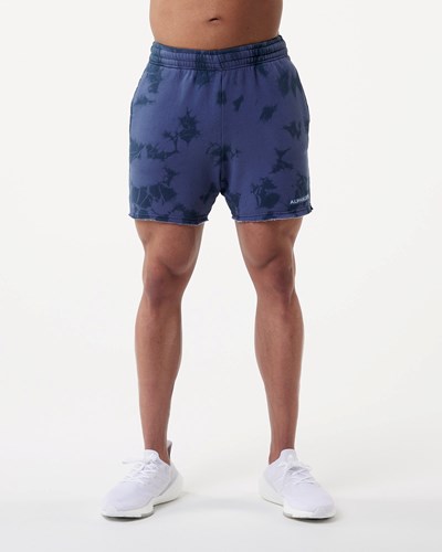 Alphalete Washed 5" Fleece Corta Moonlight | RUTLSE895