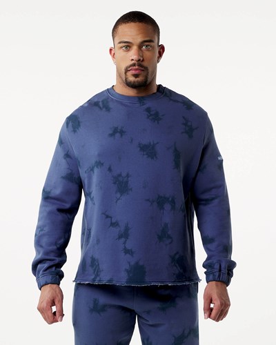 Alphalete Washed Fleece Sueter Moonlight | WKQZIV861