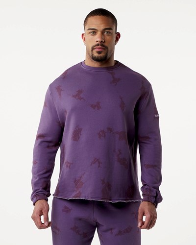Alphalete Washed Fleece Sueter Revolution | USNJWF342